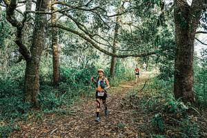 BIB: 
                            <button type="button" onclick="openModal(25666595)" class="btn btn-primary btn-sm float-right btn-popup" data-toggle="modal" data-target=".modal-high-quality">
                        <i class="fas fa-shopping-cart"></i> Add to Cart
                    </button>
                                            <button type="button" onclick="isThisMe(25666595, true)" class="btn btn-success btn-sm float-right btn-popup btn-isme hidden" data-toggle="tooltip" data-placement="bottom" title="นี่คือรูปของคุณใช่ไหม คลิกที่นี่เพื่อเอาเข้าอัลบั้ม">
                        <i class="fas fa-plus"></i> Add to album
                    </button>
                    <button type="button" onclick="isThisMe(25666595, false)" class="btn btn-warning btn-sm float-right btn-popup btn-isnotme hidden">
                        <i class="fas fa-ban"></i> Remove from album
                    </button>